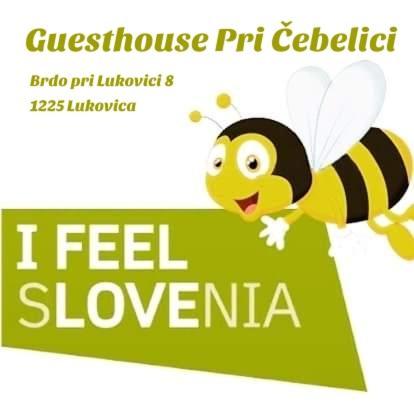 Guesthouse Pri Cebelici Lukovica pri Domžalah エクステリア 写真