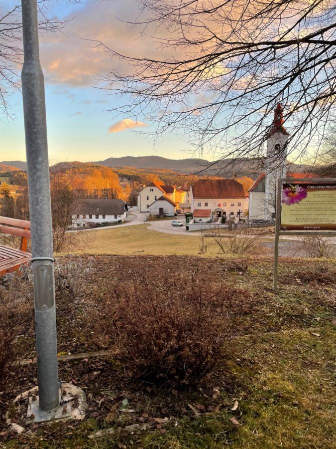 Guesthouse Pri Cebelici Lukovica pri Domžalah エクステリア 写真