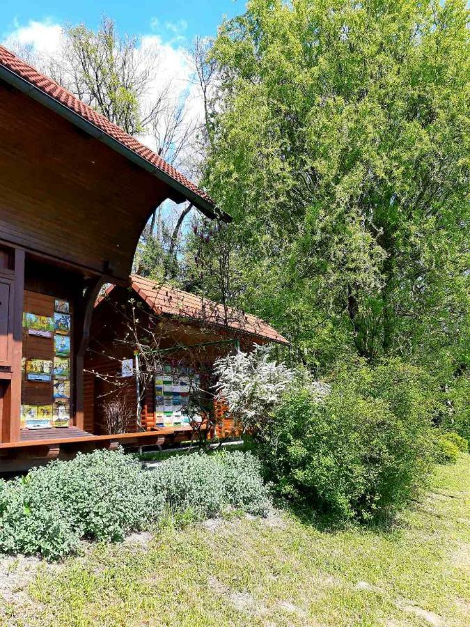 Guesthouse Pri Cebelici Lukovica pri Domžalah エクステリア 写真
