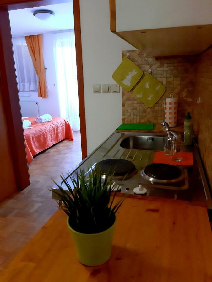 Guesthouse Pri Cebelici Lukovica pri Domžalah エクステリア 写真