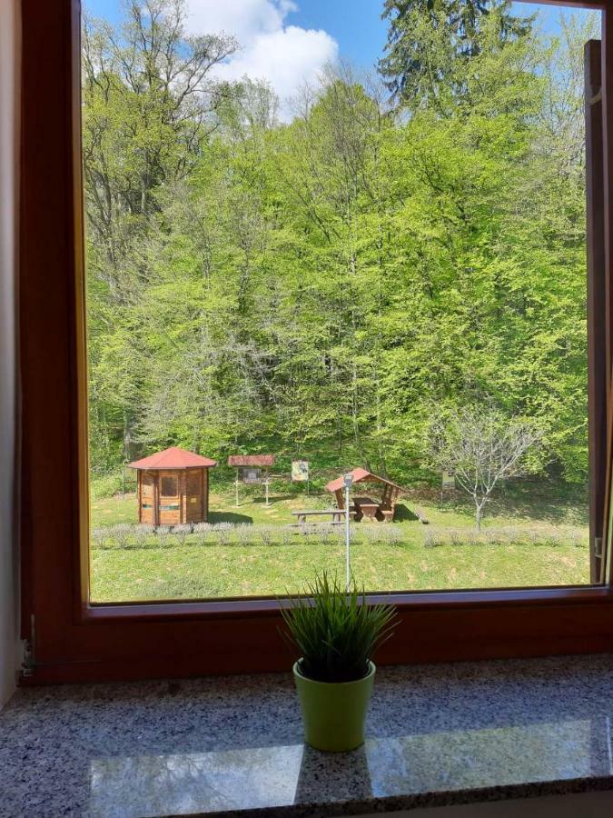 Guesthouse Pri Cebelici Lukovica pri Domžalah エクステリア 写真