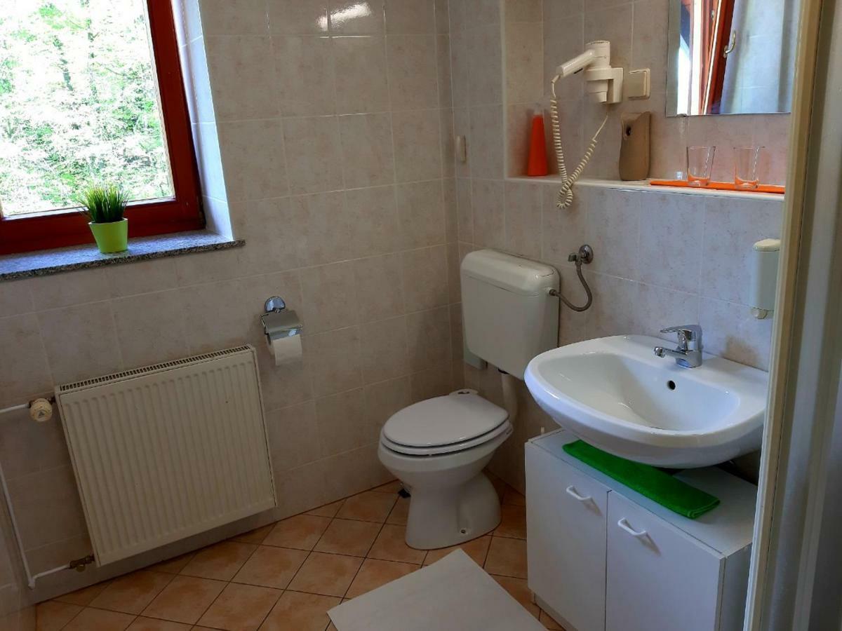 Guesthouse Pri Cebelici Lukovica pri Domžalah エクステリア 写真